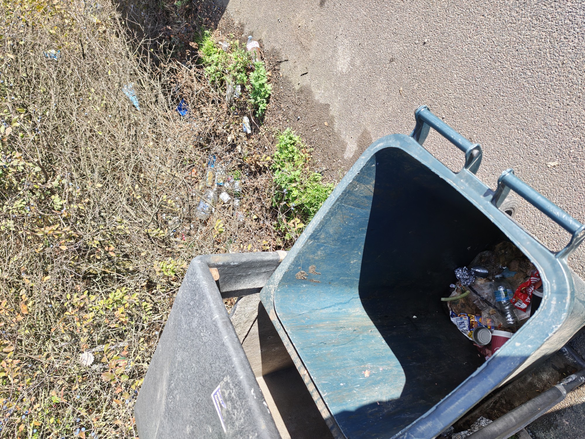The bin has been emptied - but they didn't pick up the litter next to it!